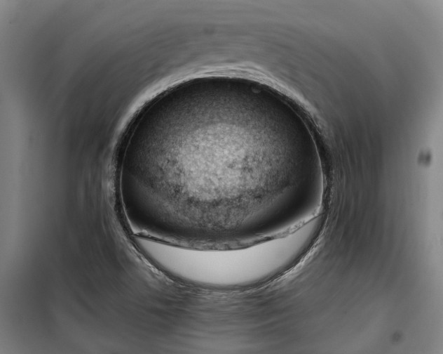 X0000100341506200806121139