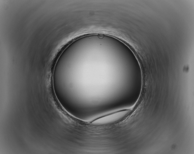 X0000100341507200806121139