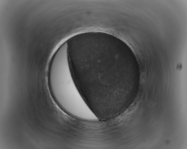 X0000100341508200806121139