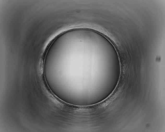 X0000100341510200806121139
