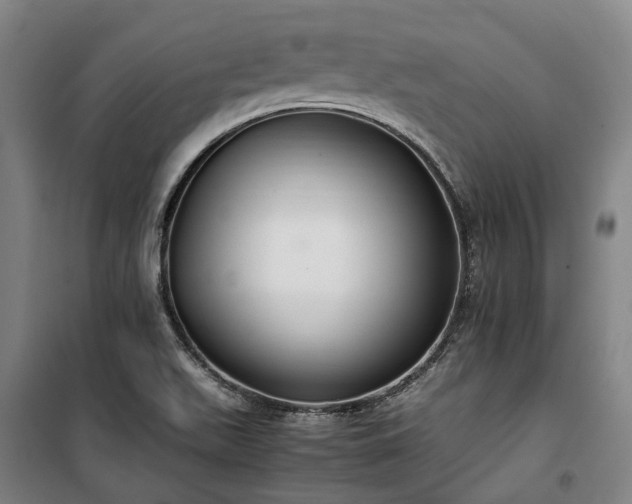 X0000100341511200806121139