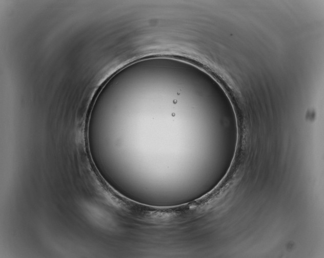 X0000100341513200806121139