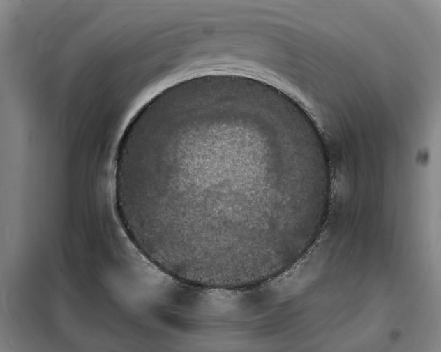 X0000100341514200806121139