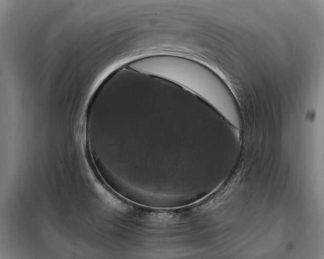 X0000100341515200806121139
