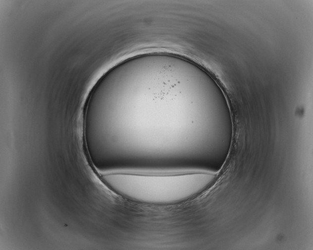 X0000100341516200806121139