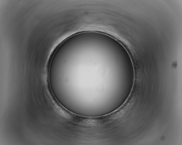 X0000100341517200806121139