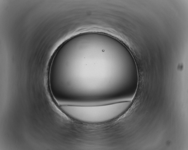 X0000100341518200806121139