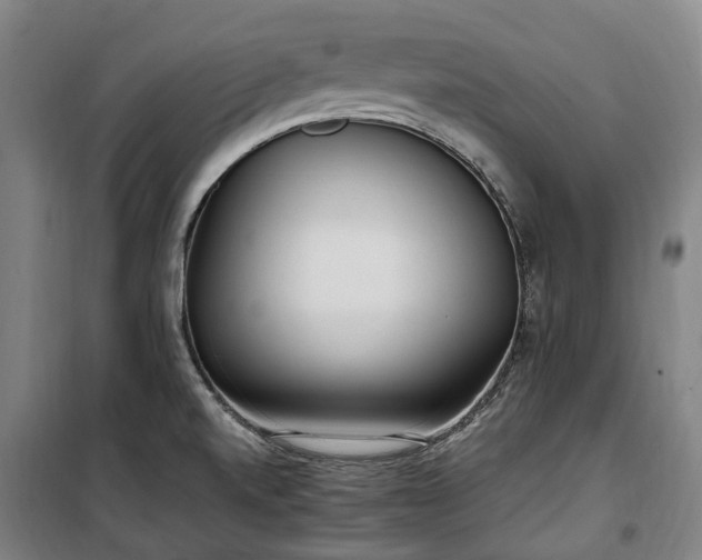 X0000100341520200806121139