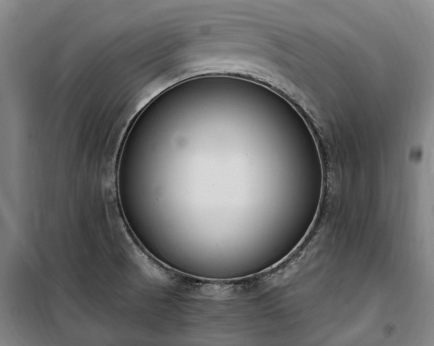 X0000100341521200806121139