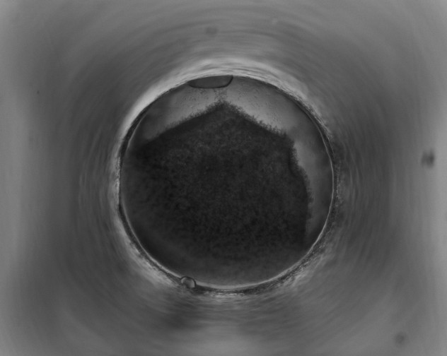 X0000100341522200806121139