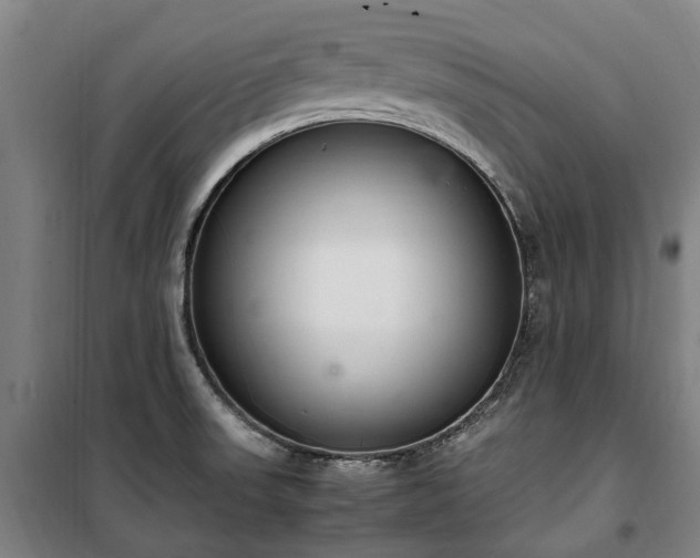 X0000100341523200806121139