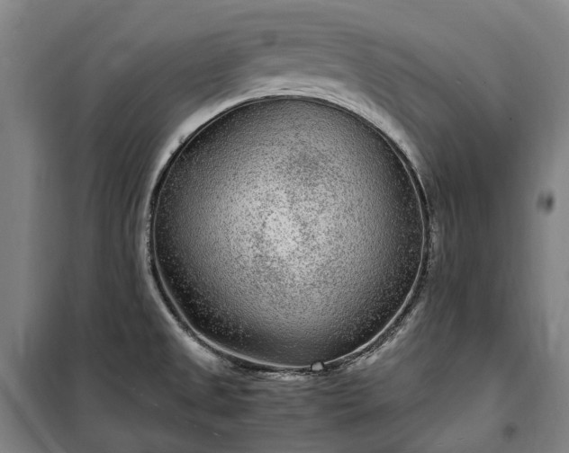 X0000100341525200806121139
