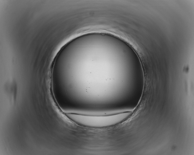 X0000100341526200806121139