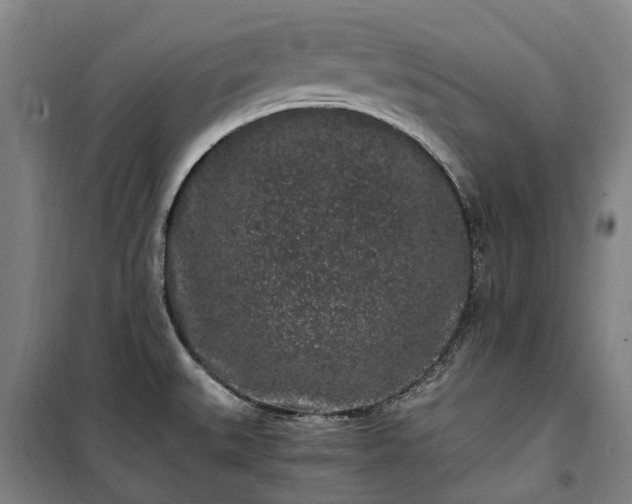 X0000100341527200806121139