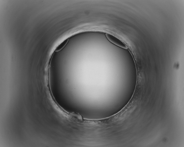 X0000100341528200806121139