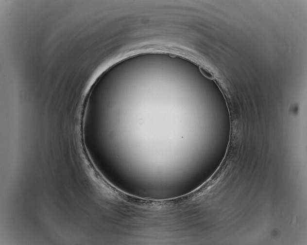 X0000100341530200806121139
