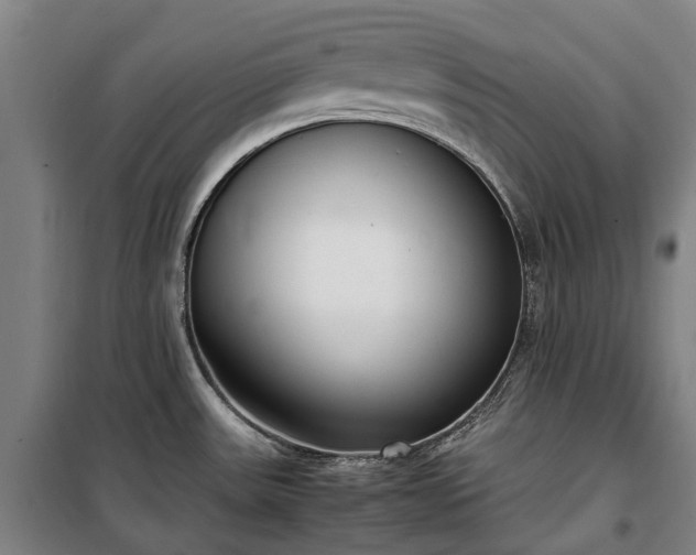 X0000100341531200806121139