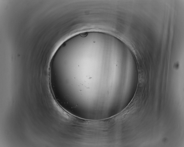 X0000100341532200806121139
