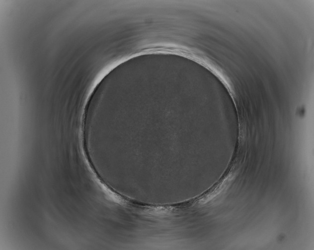 X0000100341533200806121139