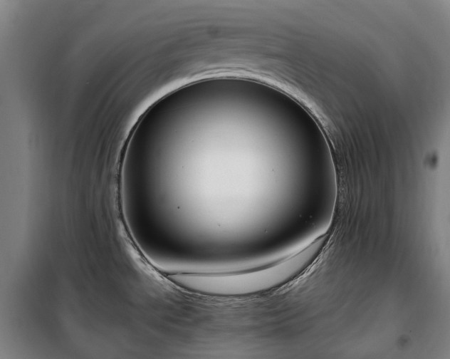 X0000100341534200806121139