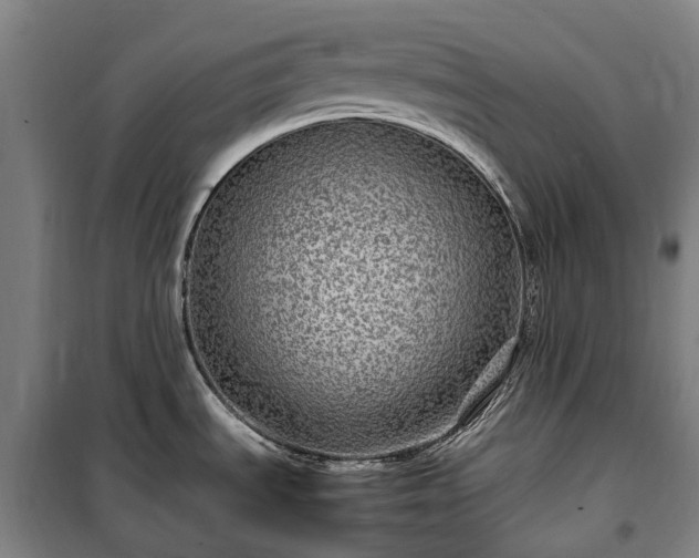 X0000100341535200806121139