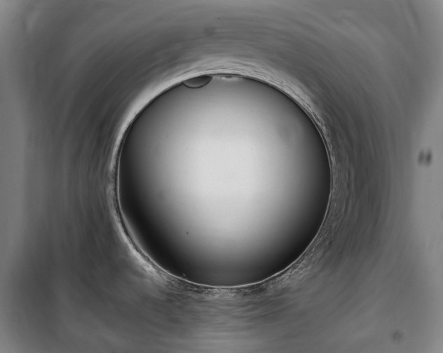X0000100341536200806121139