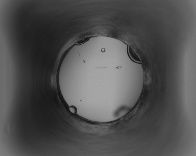 X0000100340004200806191034