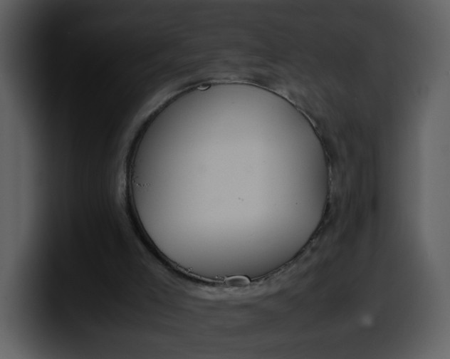 X0000100340005200806191034