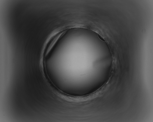 X0000100340006200806191034