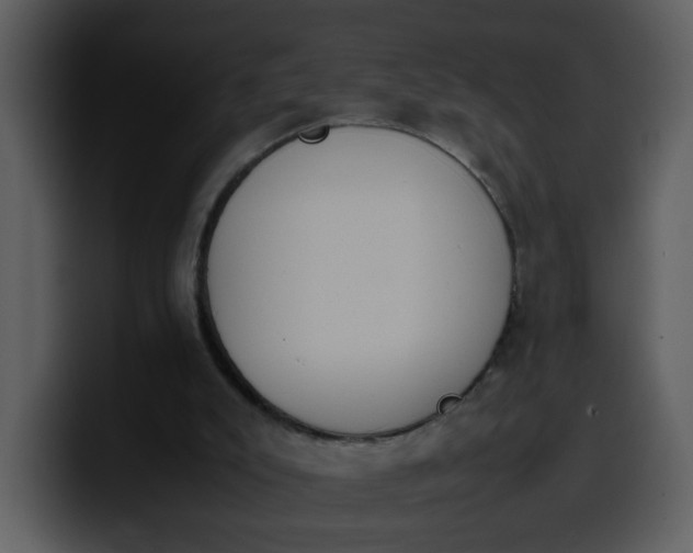 X0000100340007200806191034