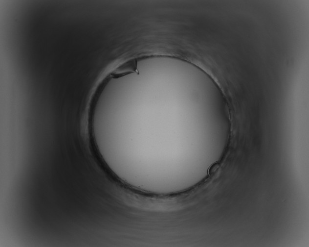 X0000100340008200806191034