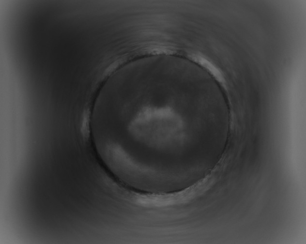 X0000100340009200806191034