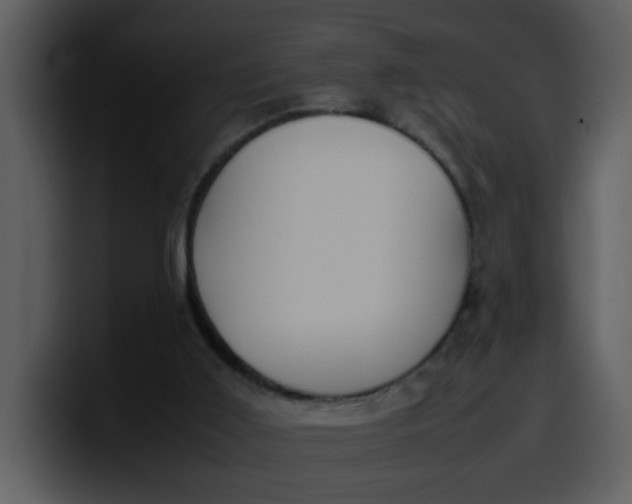 X0000100340011200806191034