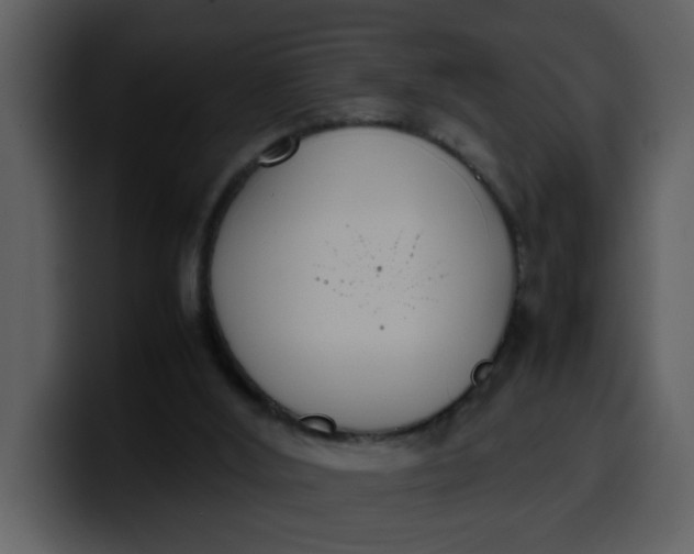 X0000100340012200806191034