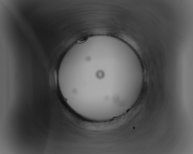 X0000100340013200806191034