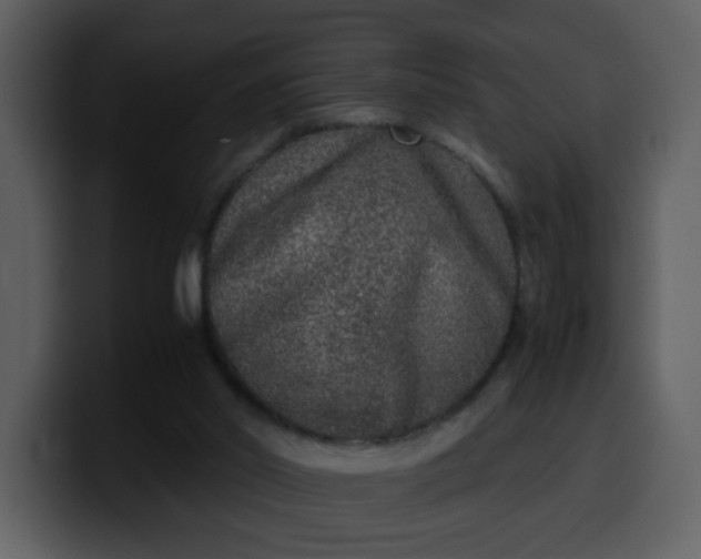 X0000100340014200806191034