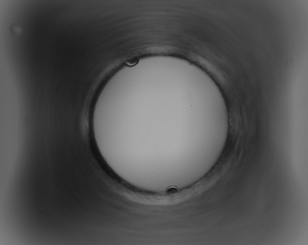 X0000100340015200806191034