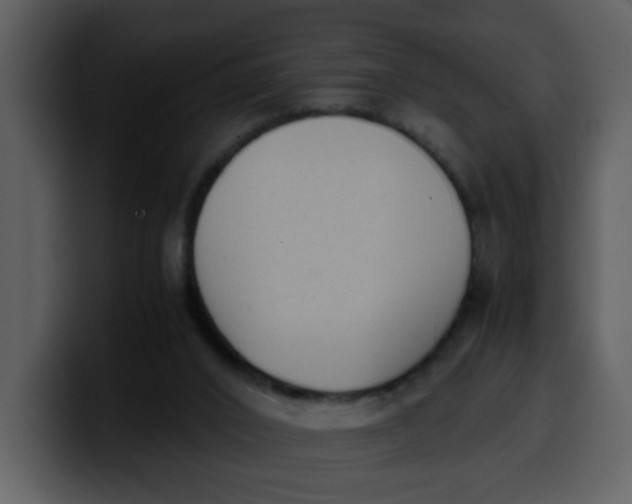 X0000100340016200806191034