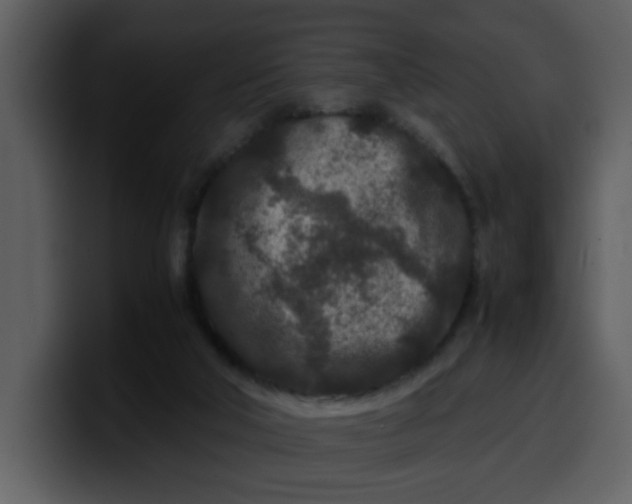 X0000100340018200806191034