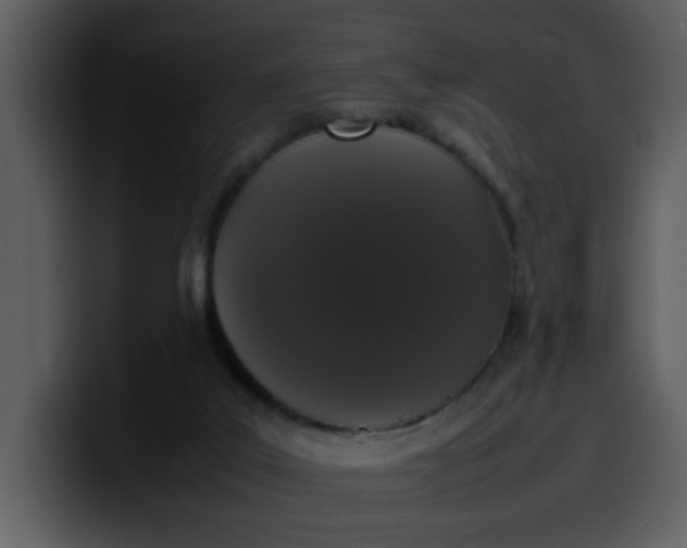 X0000100340019200806191034