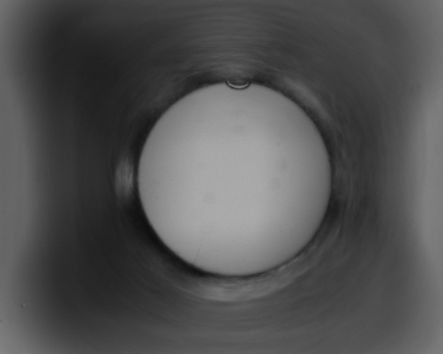 X0000100340021200806191034