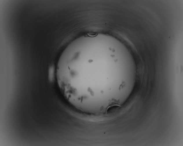 X0000100340024200806191034