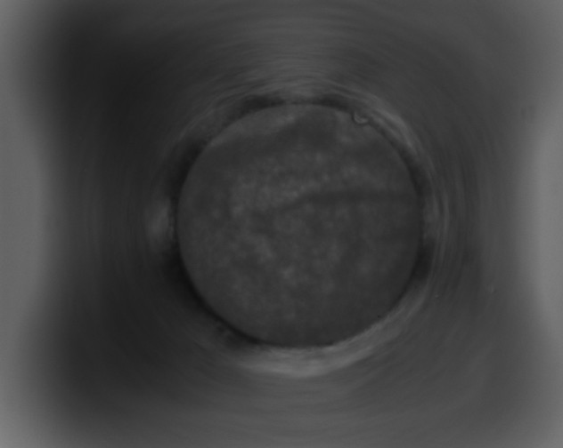 X0000100340029200806191034