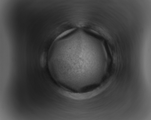 X0000100340030200806191034