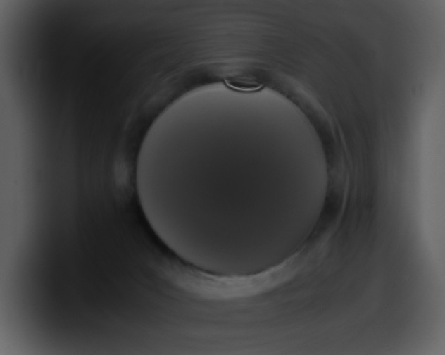 X0000100340031200806191034