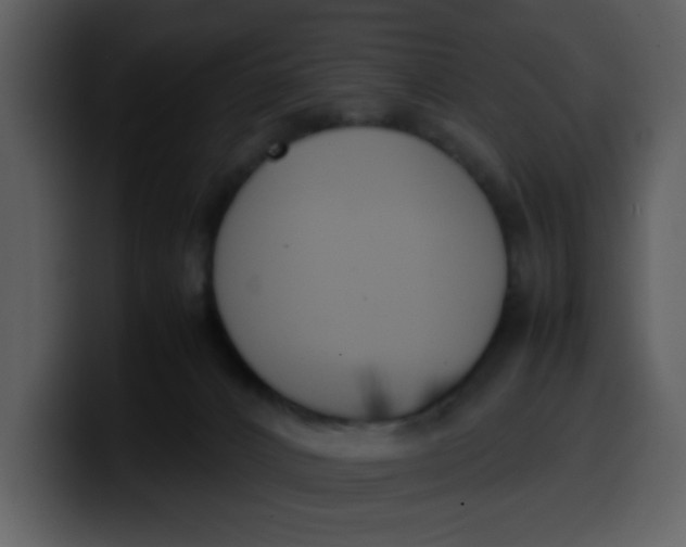 X0000100340032200806191034