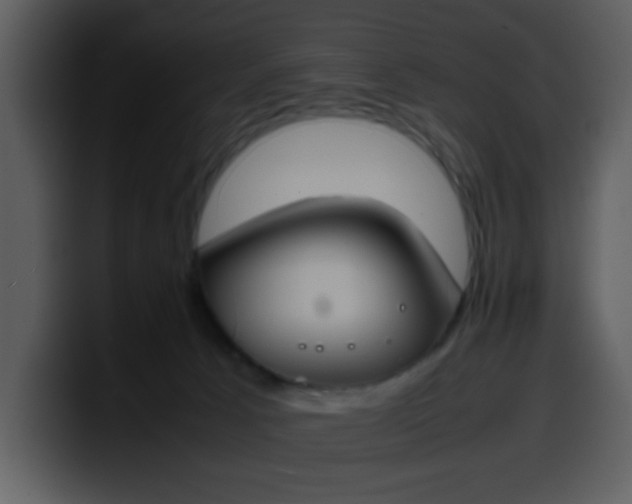 X0000100340033200806191034