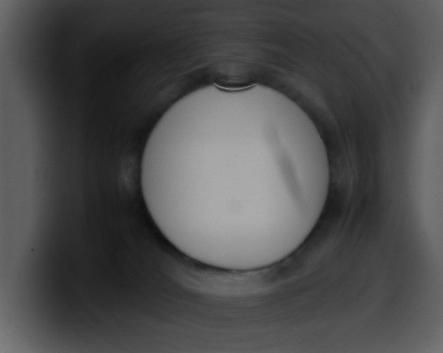 X0000100340036200806191034