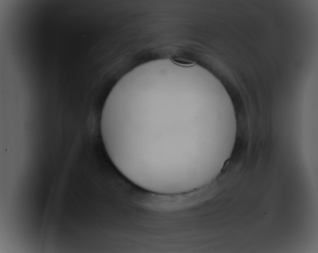 X0000100340037200806191034