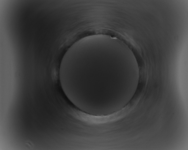 X0000100340039200806191034